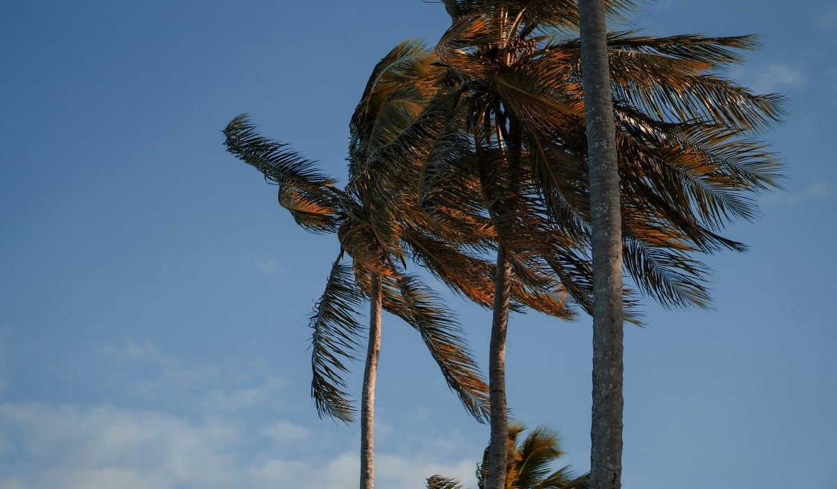 Época de furacão nas Bahamas: Todas as dicas!