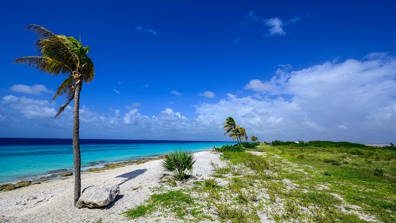 Beleza da ilha Bonaire