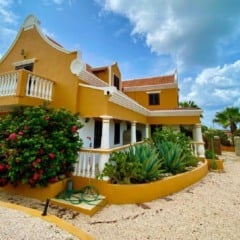 Tour pelo norte de Bonaire: Como é e dicas do ingresso