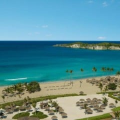 Dicas para fazer o tour por Macao em viagem em Punta Cana
