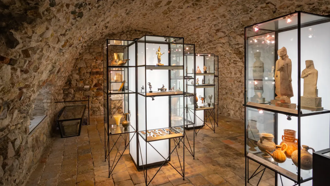 Museu de la Castre Museu de la Castre