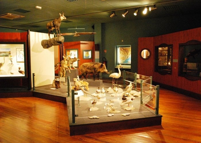 Museu de História Natural de Nice