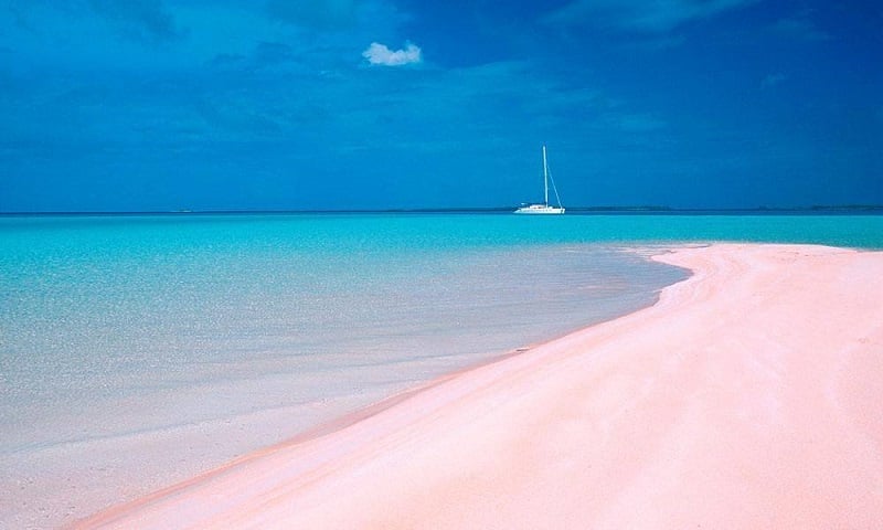Pink Sands nas Bahamas