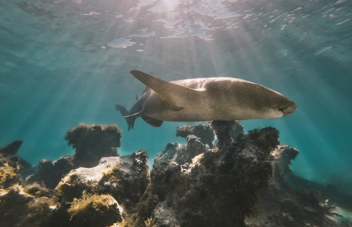 DCIM105GOPROGOPR6097.JPG