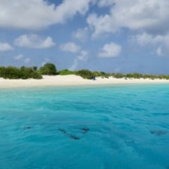 Ingresso da excursão de watertaxi a Klein Bonaire
