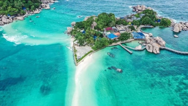 Japanese Gardens: mergulho em Koh Tao