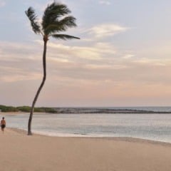 Roteiro de 5 dias em Nassau: Todas as dicas e informações!