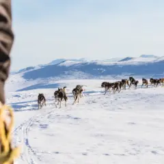 Suécia em janeiro: como é o clima e o que fazer!