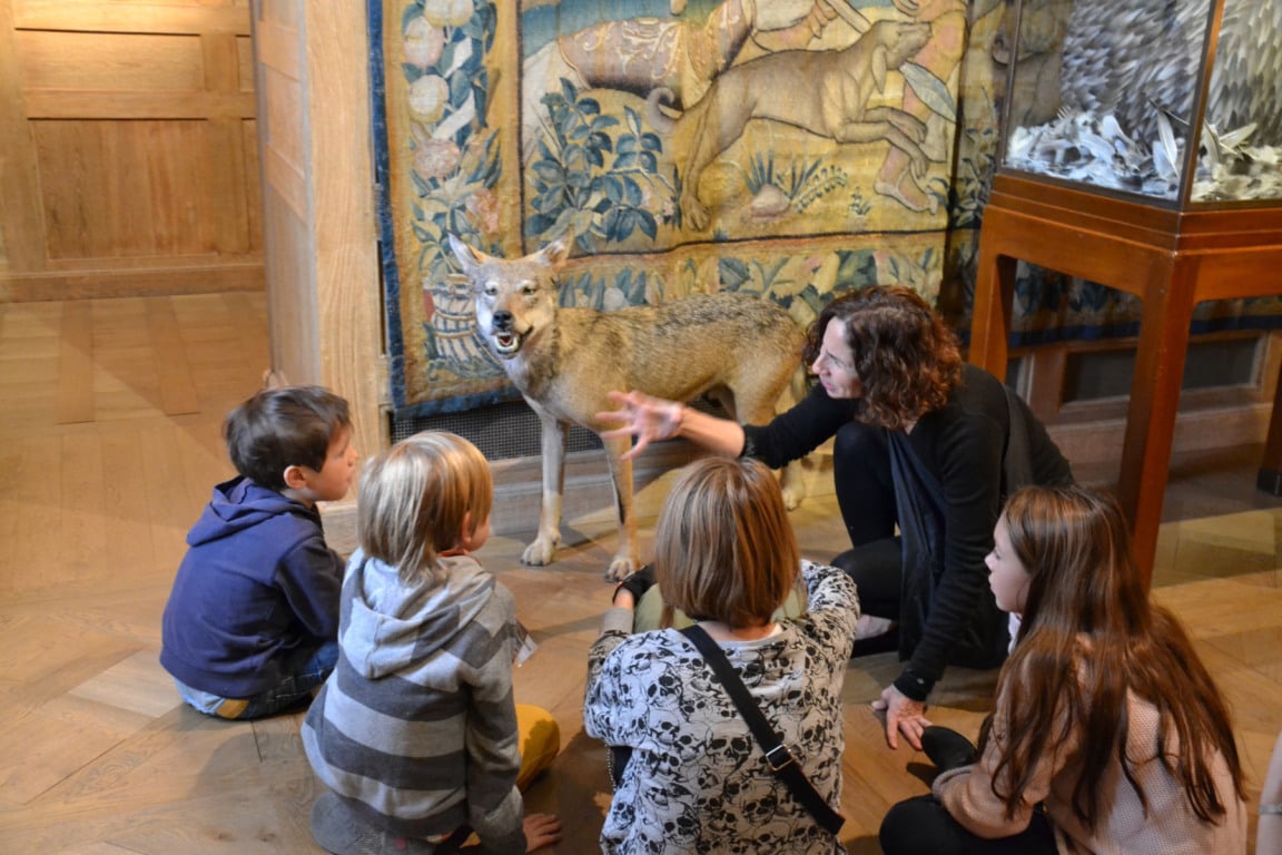 Museu da Caça e da Natureza