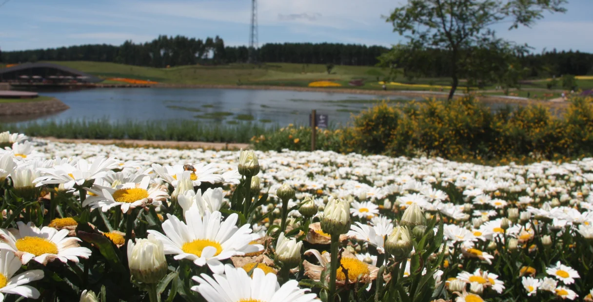 Jardins do Mátria Parque perto de Gramado