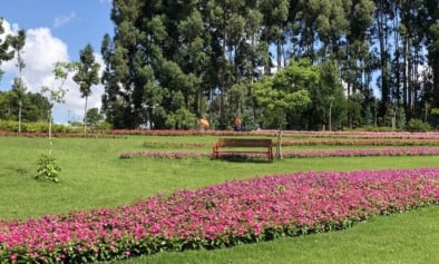 Mátria Parque de Flores perto de Gramado: Guia completo! Mátria Parque de Flores perto de Gramado: Guia completo!