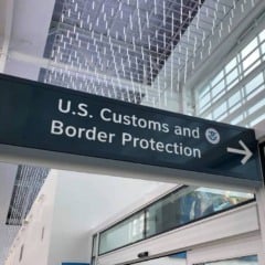 Imigração nos Estados Unidos