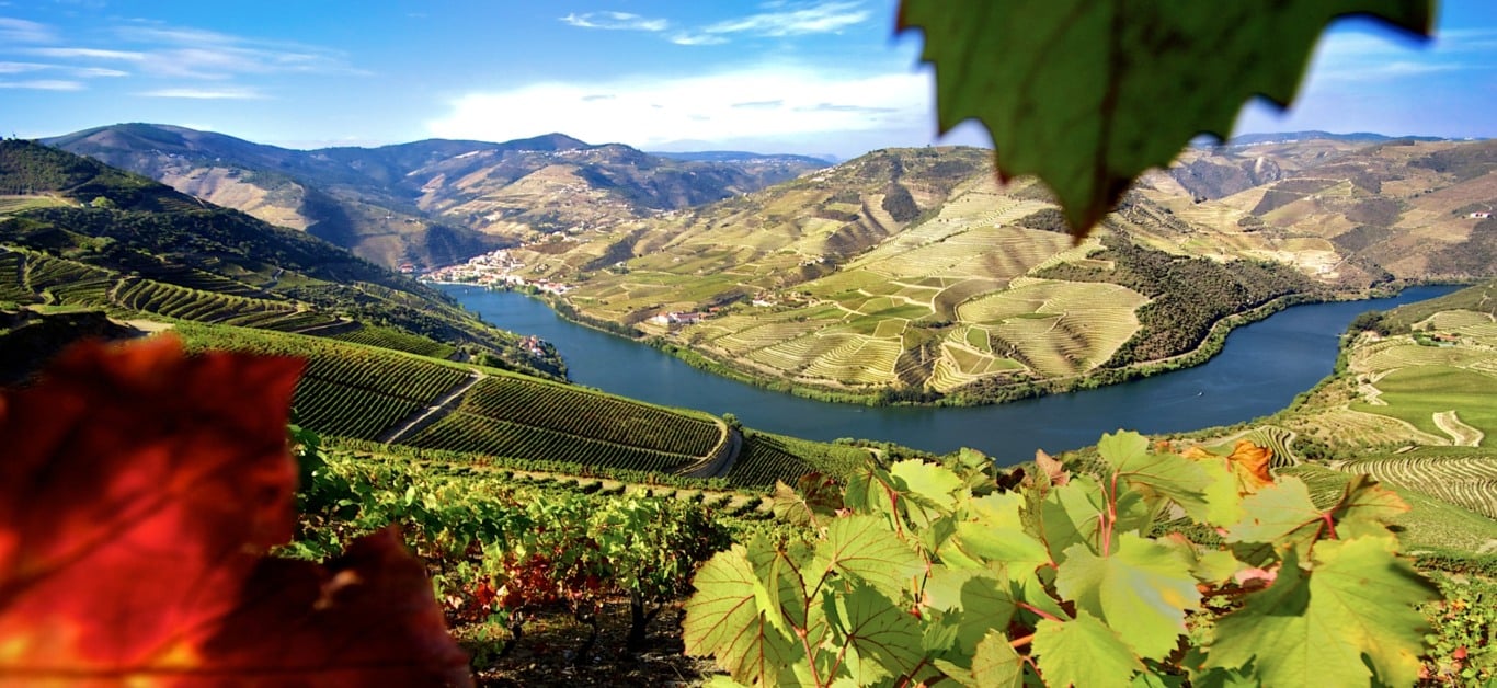 Douro Vinhateiro