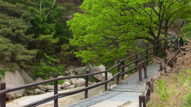 Bukhansan National Park – Seul Bukhansan National Park – Seul