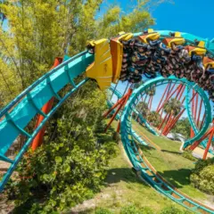 10 dicas imperd&iacute;veis do parque Busch Gardens