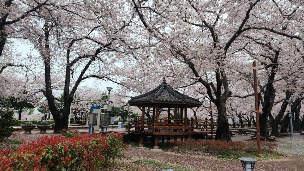 Parques da Coreia do Sul: 10 dicas incríveis Parques da Coreia do Sul: 10 dicas incríveis