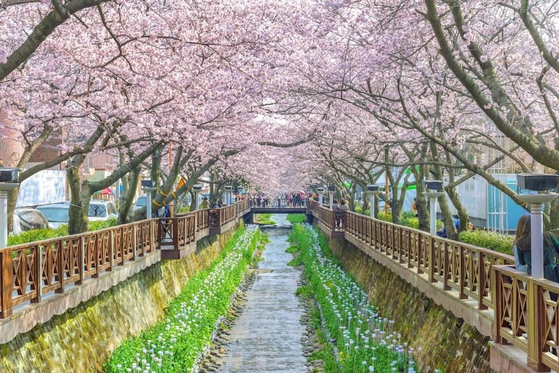 Jinhae Dream Park em Jinhae Jinhae Dream Park em Jinhae