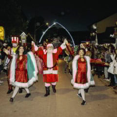 Dicas para um Natal em Monte Verde