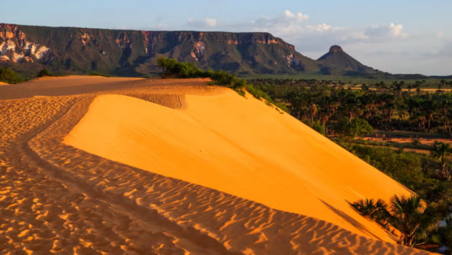 Onde fica o Jalapão? Todas as dicas para chegar até lá