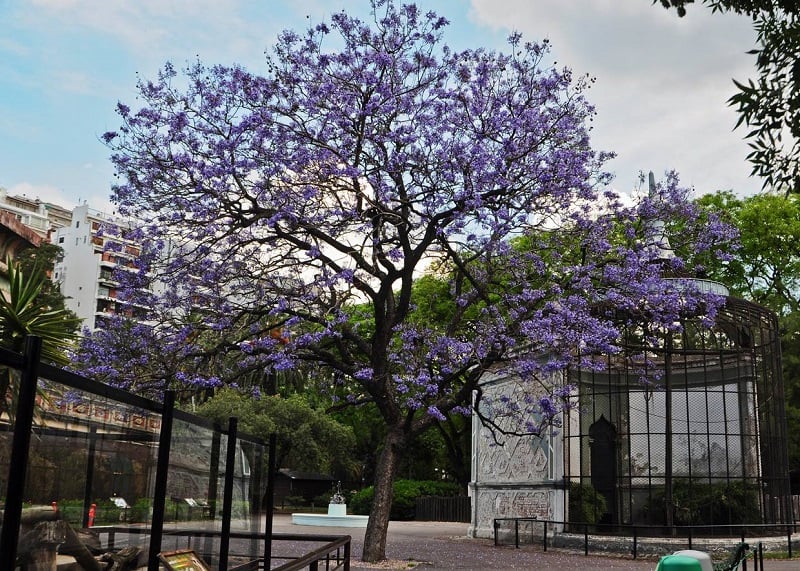 Ecoparque de Buenos Aires 