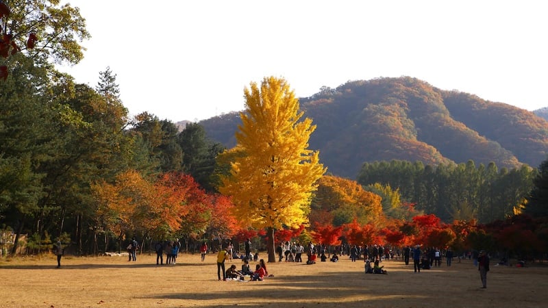 Namiseom em Chuncheon Namiseom em Chuncheon