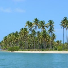 Guia completo sobre a Praia dos Carneiros em Tamandaré