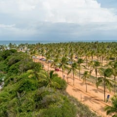 Guia completo com as melhores praias do Nordeste