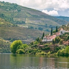 Vale do Douro: guia para conhecer a região