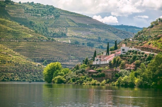 Vale do Douro: guia para conhecer a região