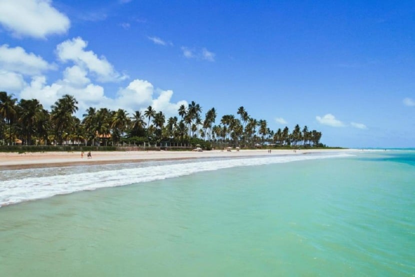 Dicas de o que fazer em 4 dias em São Miguel dos Milagres