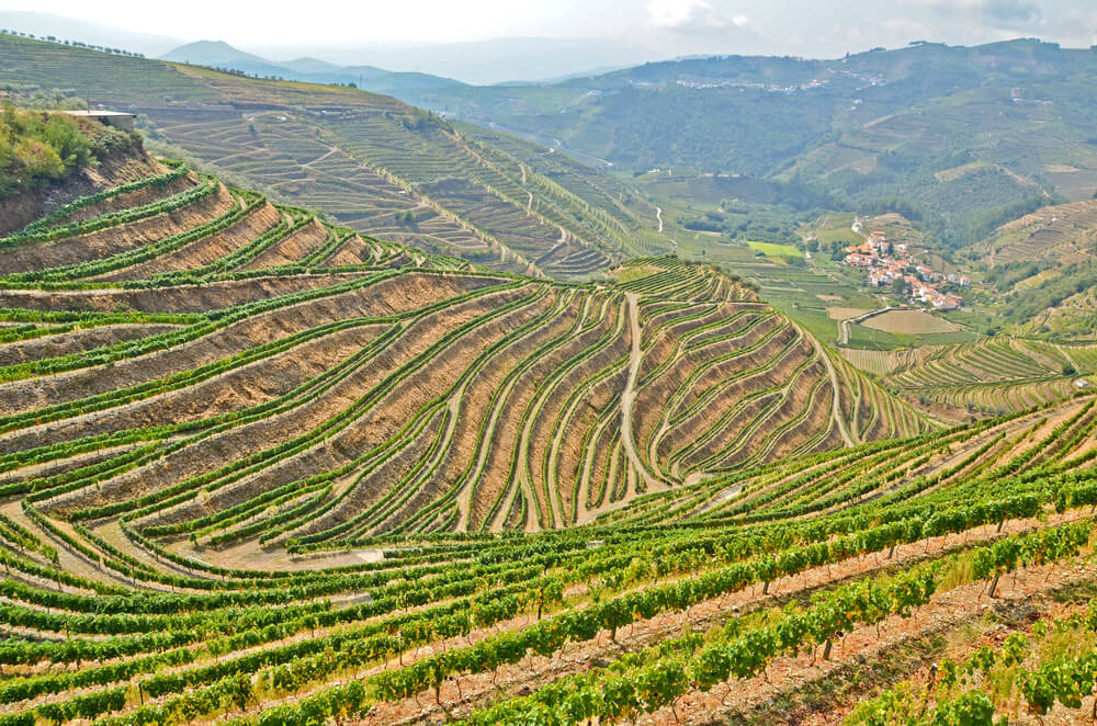 Vale do Douro Vale do Douro