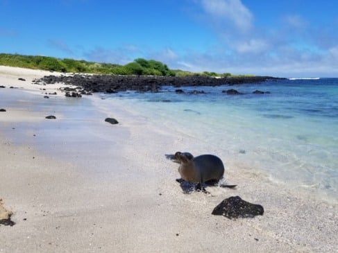Onde ficar nas Ilhas Galápagos: melhor região e hotéis baratos!