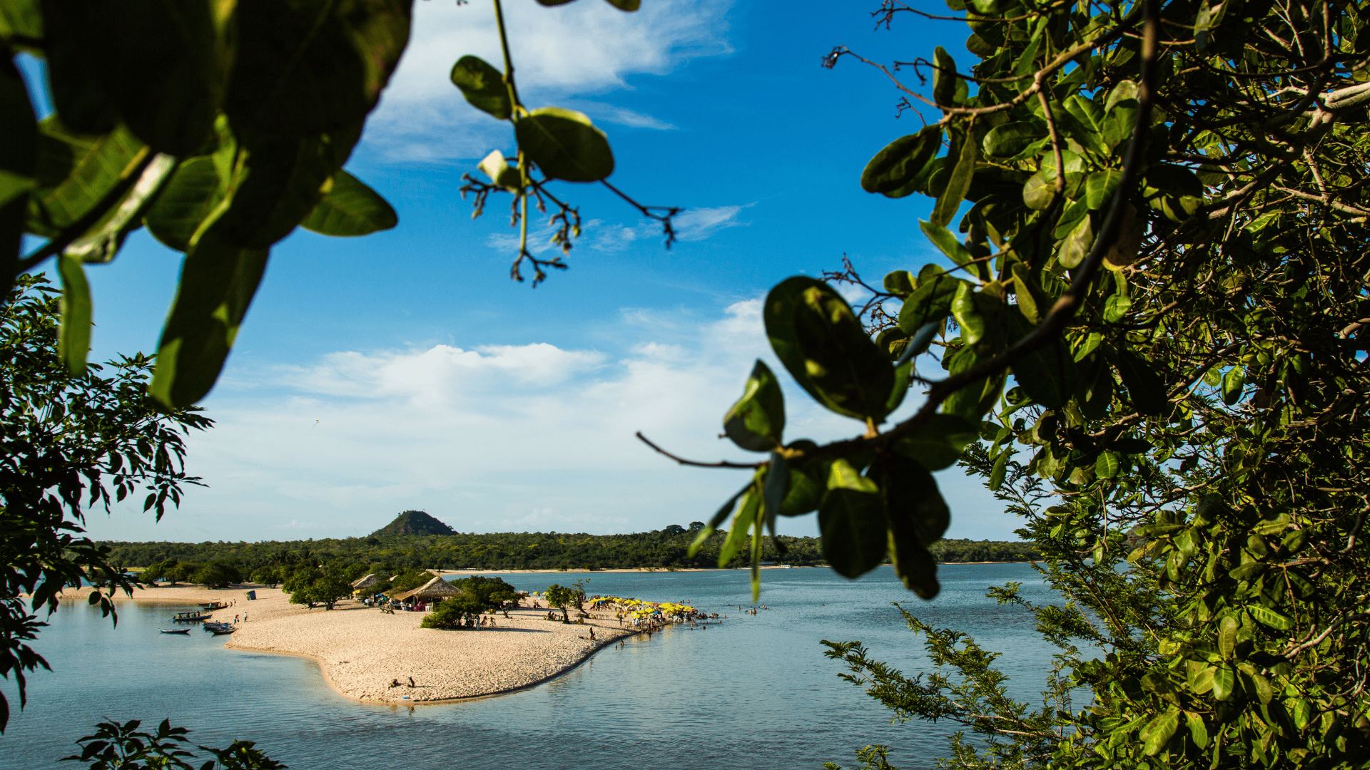Alter do Ch&atilde;o no Par&aacute;