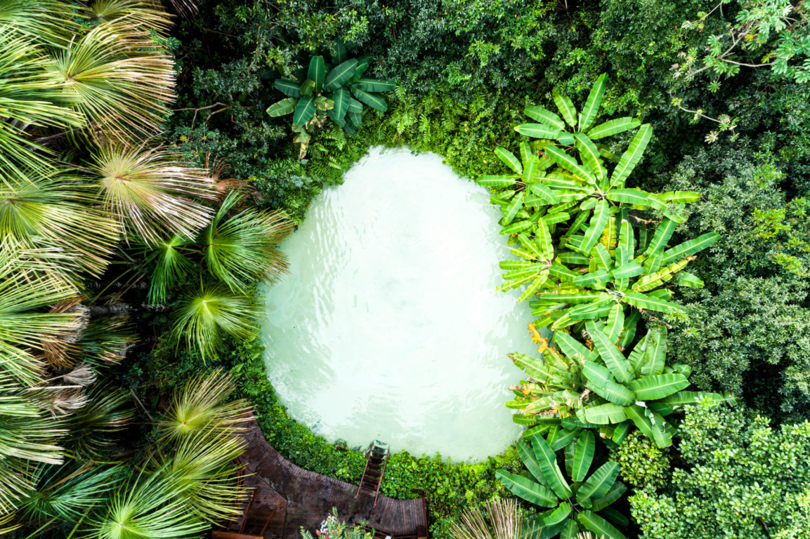 Fervedouro no Jalapão Fervedouro no Jalapão