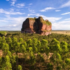 Jalap&atilde;o: Guia completo para planejar a sua viagem