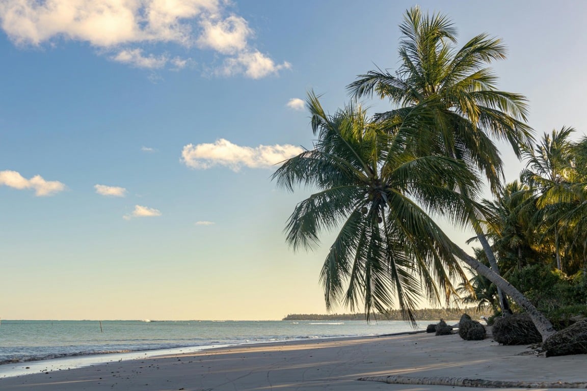 Dicas de como se locomover por São Miguel dos Milagres Dicas de como se locomover por São Miguel dos Milagres