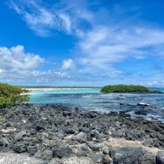 O que fazer nas Ilhas Gal&aacute;pagos: 10 passeios e pontos tur&iacute;sticos!