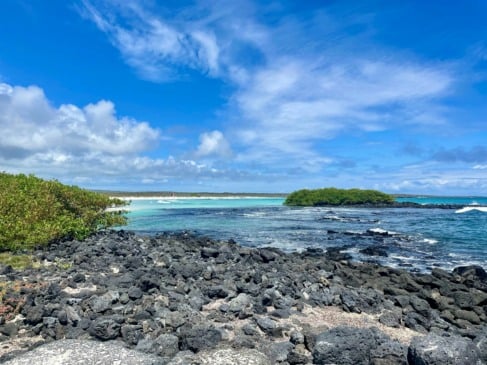 O que fazer nas Ilhas Galápagos: 10 passeios e pontos turísticos!