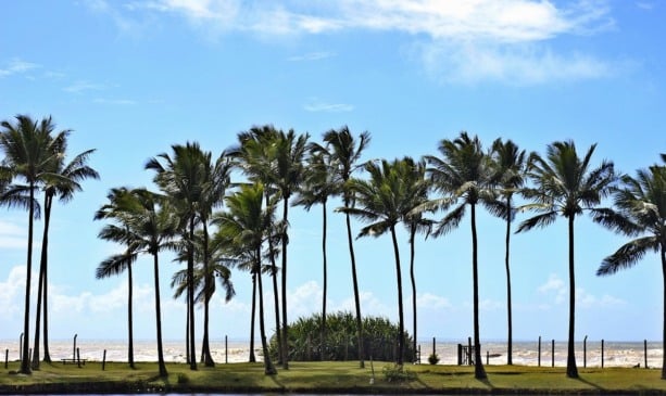 Passagens aéras baratas para Ilhéus: Dicas e informações!