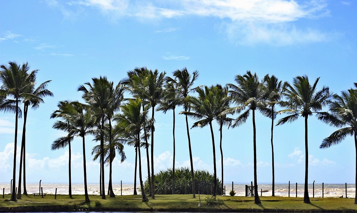 Passagens aéras baratas para Ilhéus: Dicas e informações!