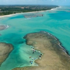 Natal em S&atilde;o Miguel dos Milagres: Todas as dicas!