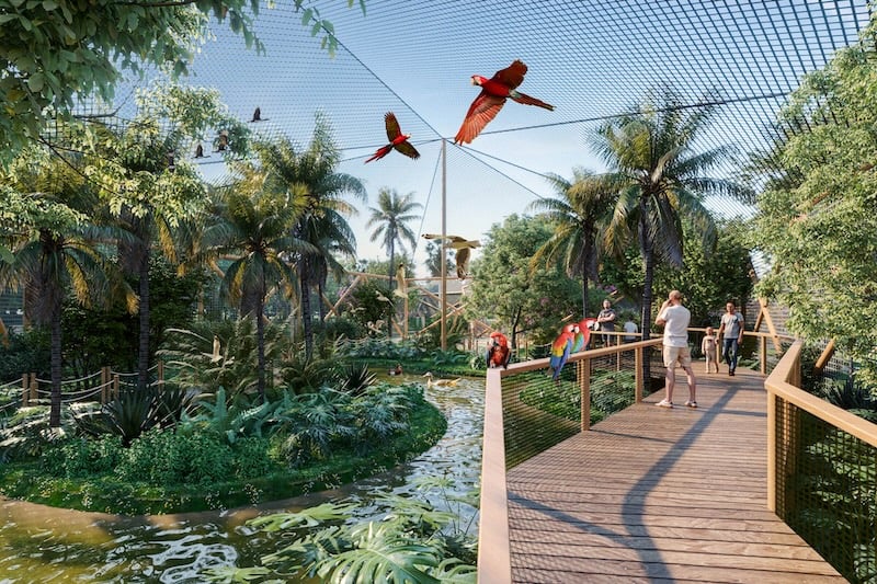 Trilhas suspensas em meio &agrave; natureza no Parque Arvoar