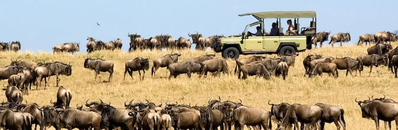 Tanz&acirc;nia: Grande migra&ccedil;&atilde;o