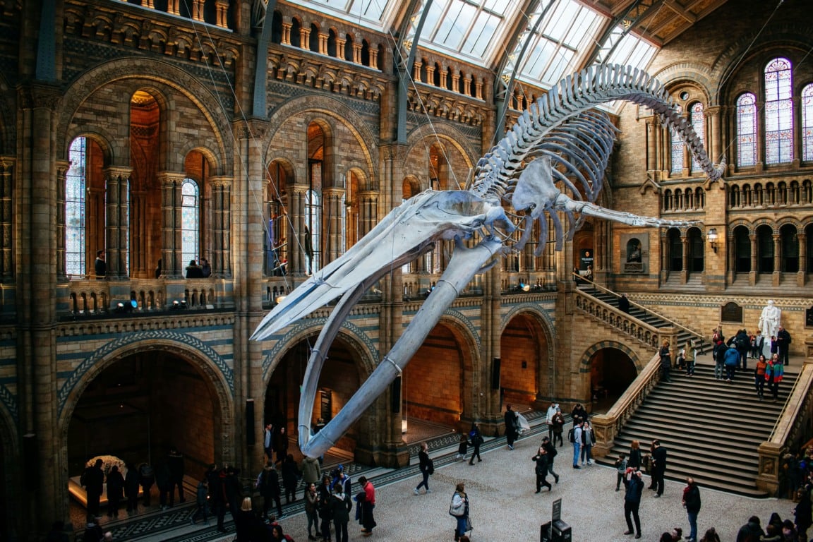 Natural History Museum em Londres Natural History Museum