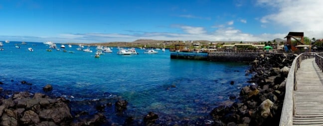 Ilhas Galápagos: guia completo para planejar a viagem 