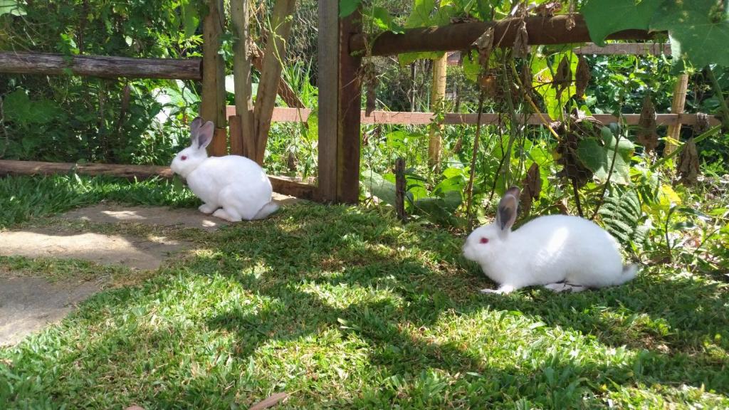 Hotel Willisau em Teresópolis Hotel Willisau em Teresópolis