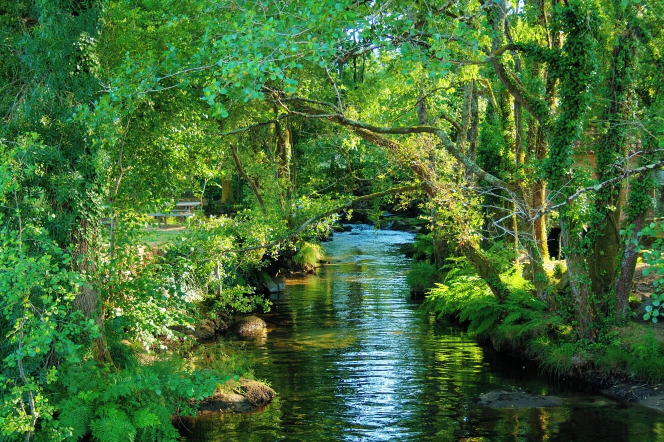 Monção em Portugal Monção em Portugal