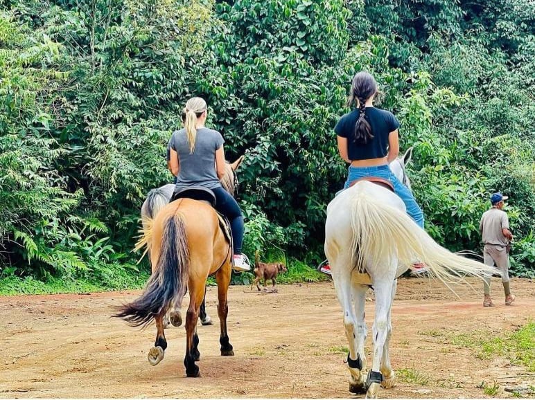 Pousada Jupter em Teresópolis Pousada Jupter em Teresópolis