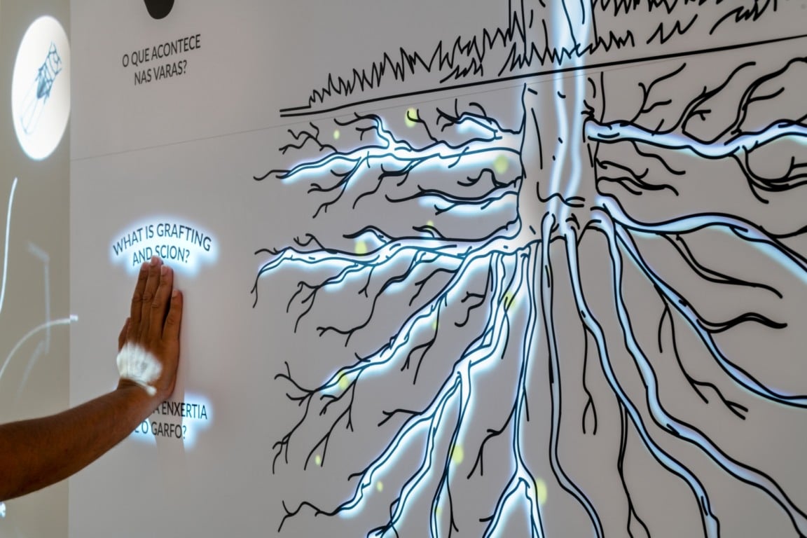 Experiência no Wow Porto Experiência no Wow Porto