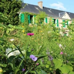 Giverny: como visitar a casa de Monet saindo de Paris